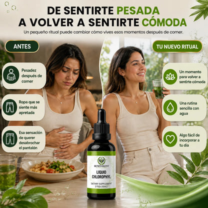 Clorofila Líquida | Tu Aliada en Tu Salud | 15 Gotas al Día
